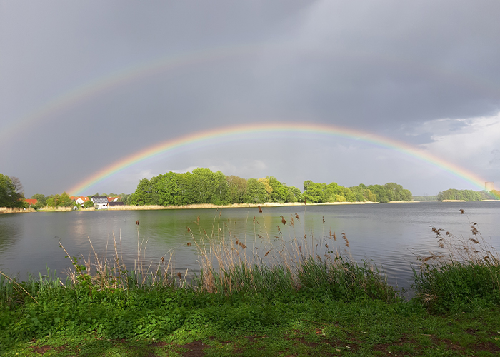 Peitzer Edelfisch Hälterteich mit Regenbogen