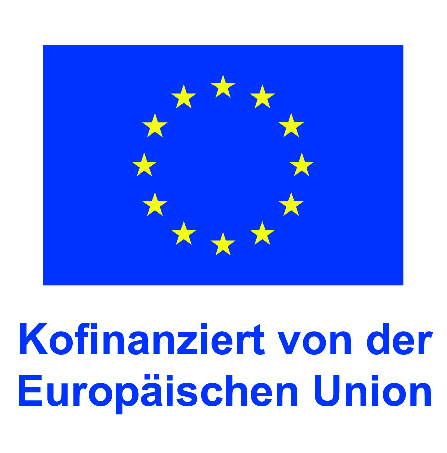 de-v-kofinanziert-von-der-europaeischen-union_pos.jpg